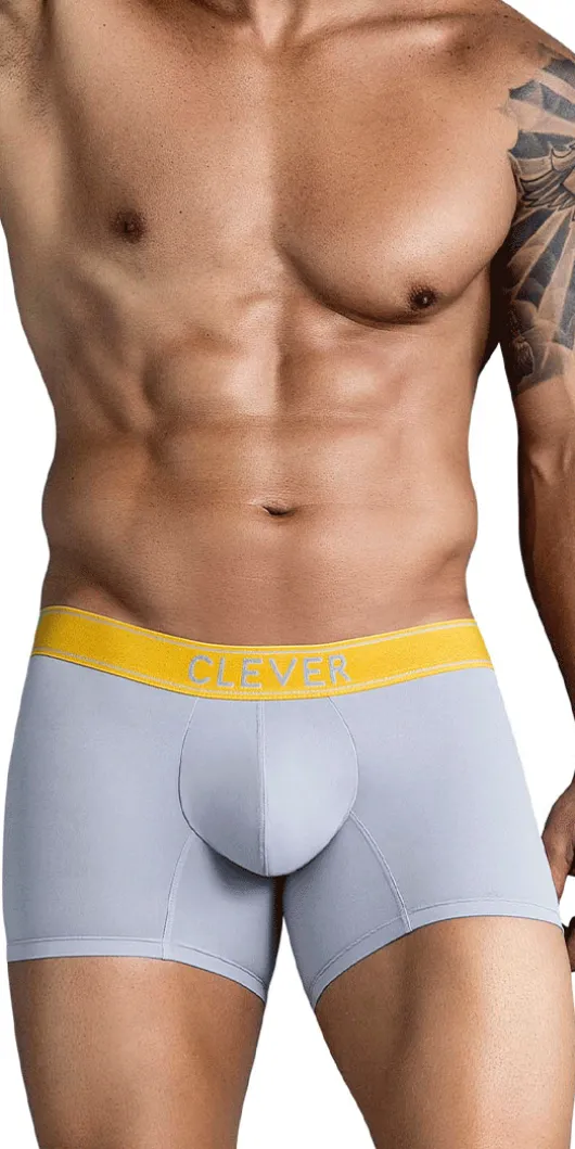 Clever 1755 Diseno Trunks Gray