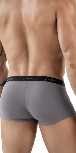 Clever 1866 Tokio Trunks Gray