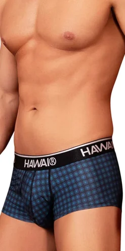 Hawai 42430 Printed Briefs Blue