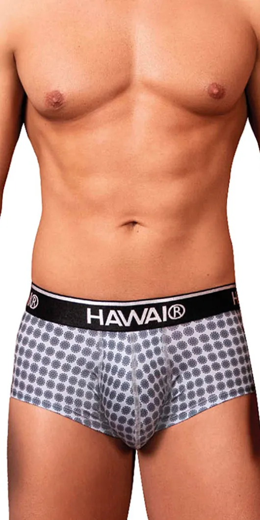 Hawai 42430 Printed Briefs Gray