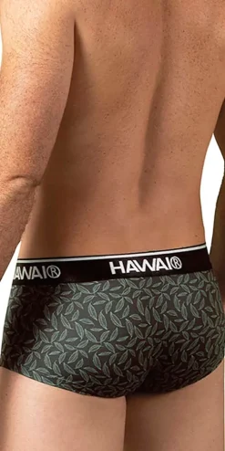 Hawai 42380 Printed Briefs Green