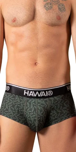 Hawai 42380 Printed Briefs Green