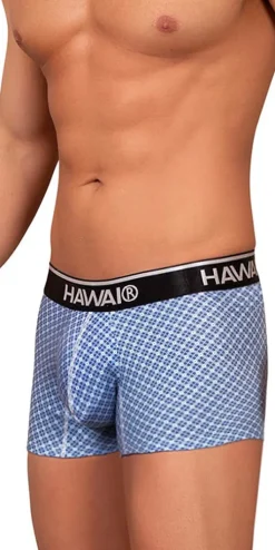 Hawai 42421 Printed Trunks Blue