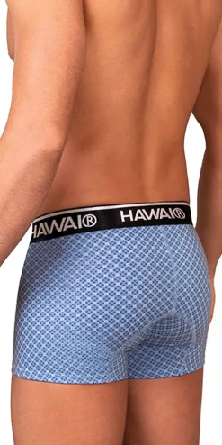 Hawai 42421 Printed Trunks Blue