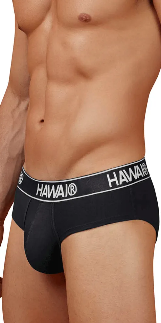 Hawair 41962 Cotton Blend Briefs Black-01