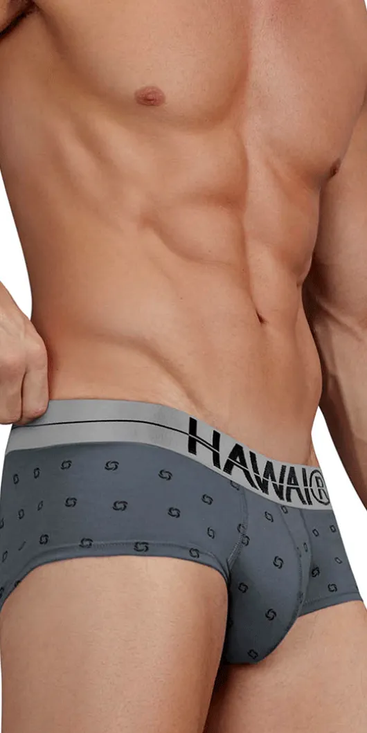 Hawair 42531 Cotton Blend Briefs Gray