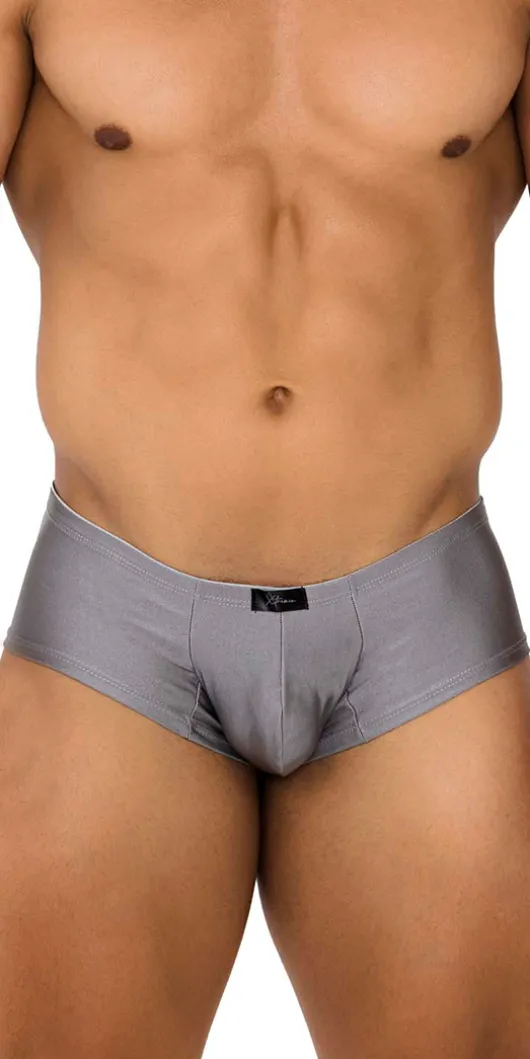 Xtremen 91180 Microfiber Trunks Silver