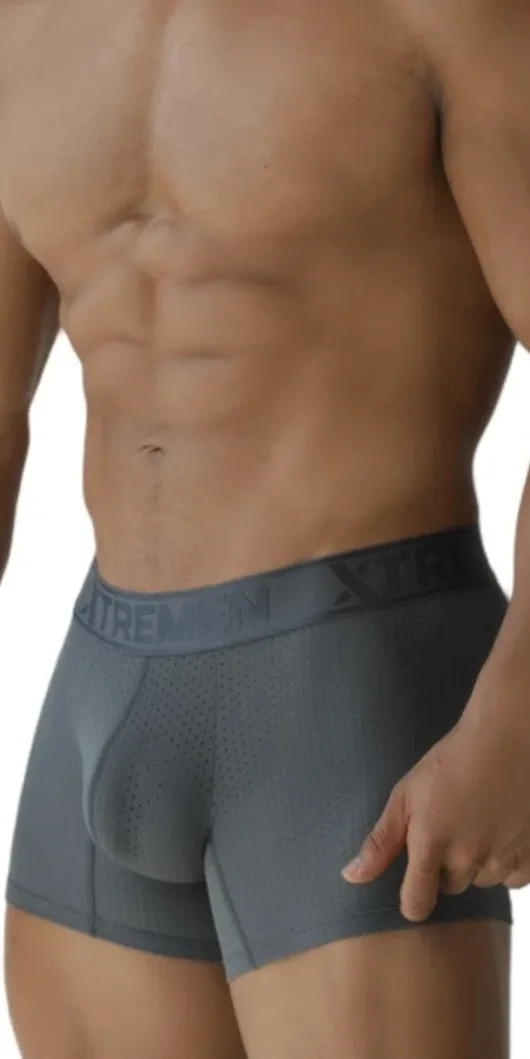 Xtremen 91251 Xtremen Micro-perforated Boxer Briefs Gray